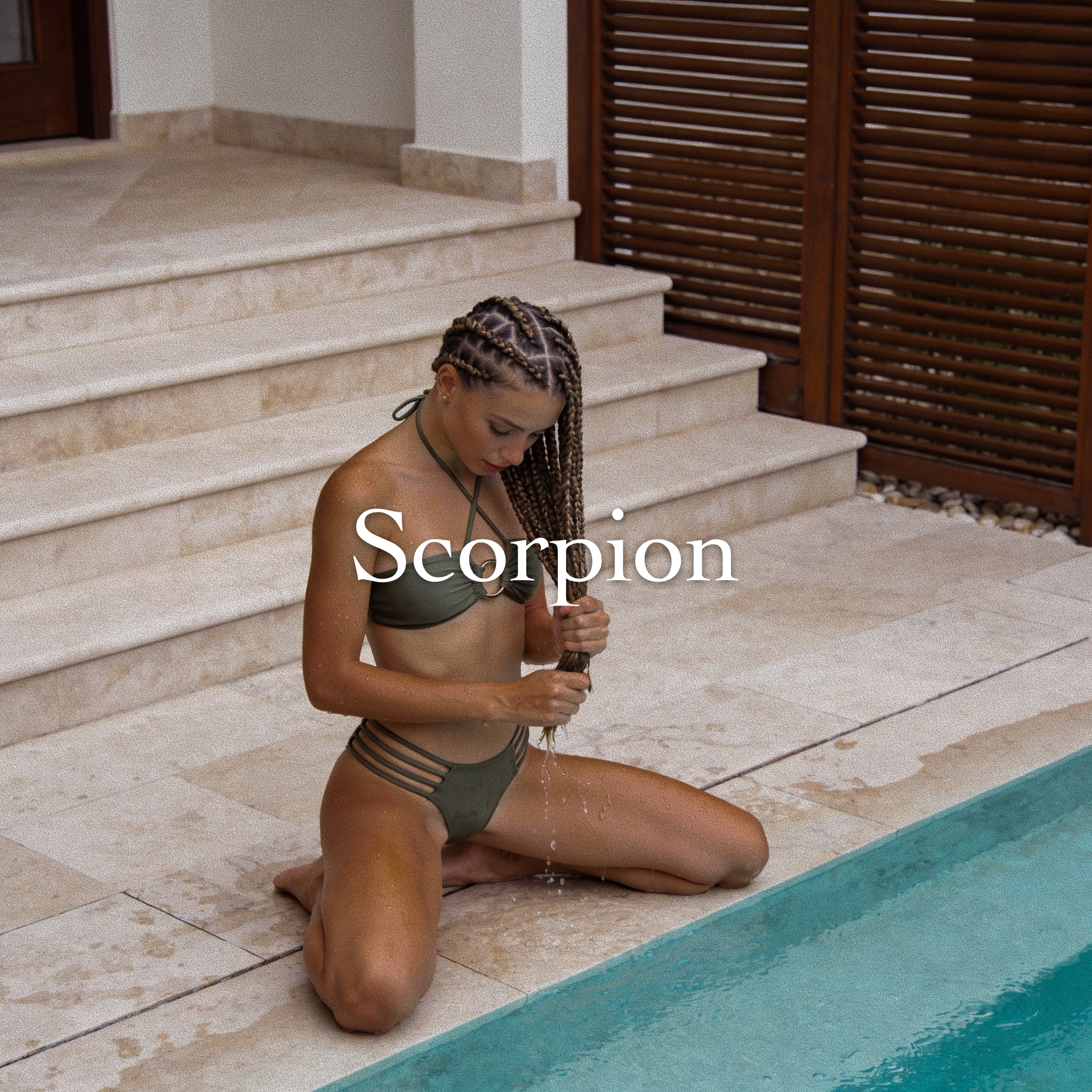 Scorpion